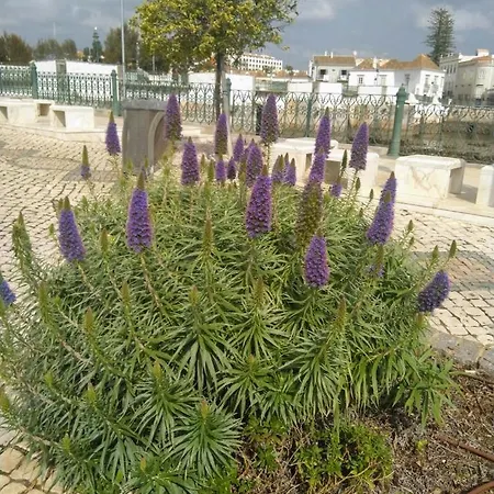 Apartment 3-bed In Town Centre With Beach Access! *